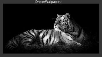 White Tiger Wallpaper capture d'écran 3