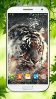 Tiger Live Wallpaper HD پوسٹر