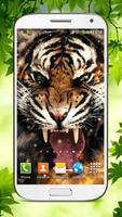 Tiger Live Wallpaper HD screenshot 2