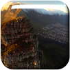 Bird Flight Live Wallpaper APK