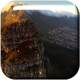 Bird Flight Live Wallpaper