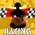 Bull Racing