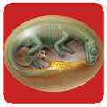 Dinosaurio Egg