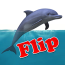 Flip the Dolphin APK