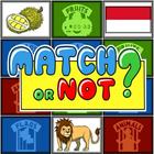 Match or Not : Brain Games icon