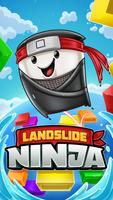 Landslide Ninja Affiche