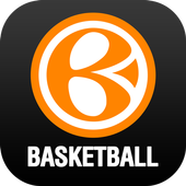 Basket icon