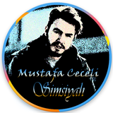 Mustafa Ceceli ícone