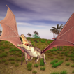 Flying Crocodile 3D Sim Chase