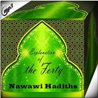Explanation Of The Forty Nawawi Hadiths Mp3 icône