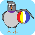 Wacky Pigeon