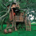 Extreme Tree Houses ikon
