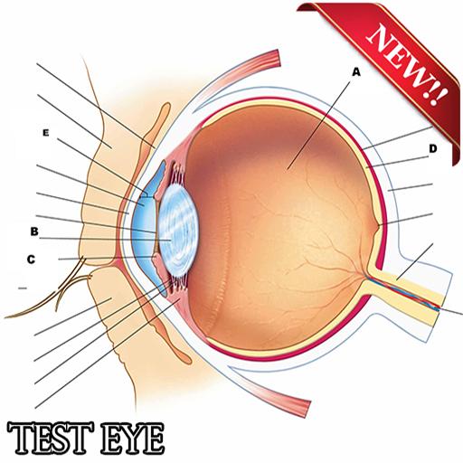 test ocular pentru ost)
