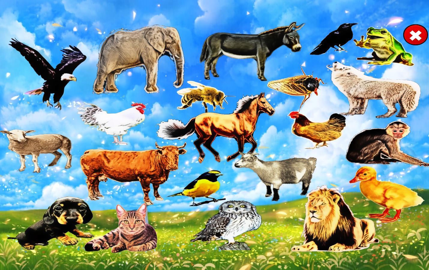 Звуки животных музыка. Звуки животных. Разные животные на одной картинке. Звуки зверей. Презентация звуки животных.