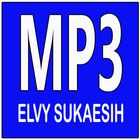 ELVY SUKAESIH Album Exclusive আইকন
