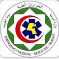 EMS
