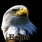 Eagle icône