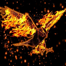 Eagle Fire Wallpaper-APK