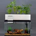 Easy DIY Aquaponics