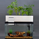 Easy DIY Aquaponics APK