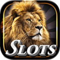 Wild Casino Slots