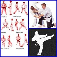 Easy Tricks Quickly Learn Karate poster