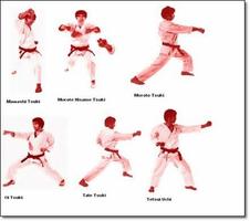 Easy Tricks Quickly Learn Karate screenshot 1
