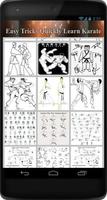 Easy Tricks Quickly Learn Karate screenshot 2