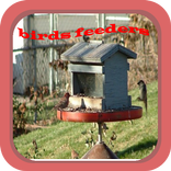 Easy bird feeders