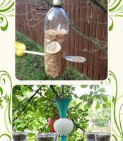 Easy bird feeders screenshot 3