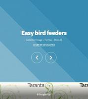 Easy bird feeders poster