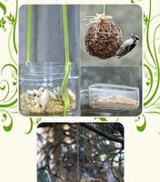 Easy bird feeders screenshot 2