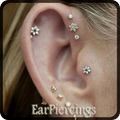 Ear Piercings