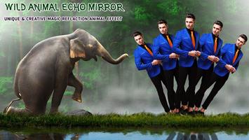 Echo Animal Effect : Echo Mirr Screenshot 1