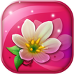 Flowers Live Wallpaper App