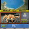 Monterey Bay Sea Life APK