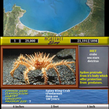 Monterey Bay Sea Life