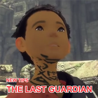 New Tips The Last Guardian ไอคอน