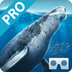 Sea World VR2(Pro) APK
