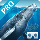 Sea World VR2(Pro) APK