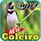 Canto Coleiro Tui Tui Top Mp3 图标