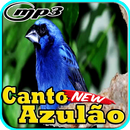 Canto do Azulao Fibra Para Encartar Mp3 APK