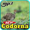 Canto Do Codorna Nordeste Top Mp3