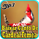 Canto de Cardeal Femea Top Mp3 APK