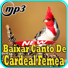 Canto de Cardeal Femea Top Mp3 icon