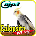 Canto de Calopsita Fiu Fiu Mp3 Zeichen