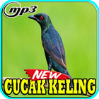 Kicau Burung Cucak keling Top Mp3 иконка