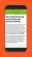 Kicau Burung Cucak keling Top Mp3 screenshot 3