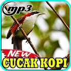 Kicau Burung Cucak Kopi Top ไอคอน