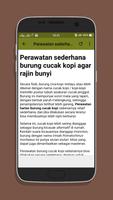 Kicau Burung Cucak Kopi Top screenshot 3